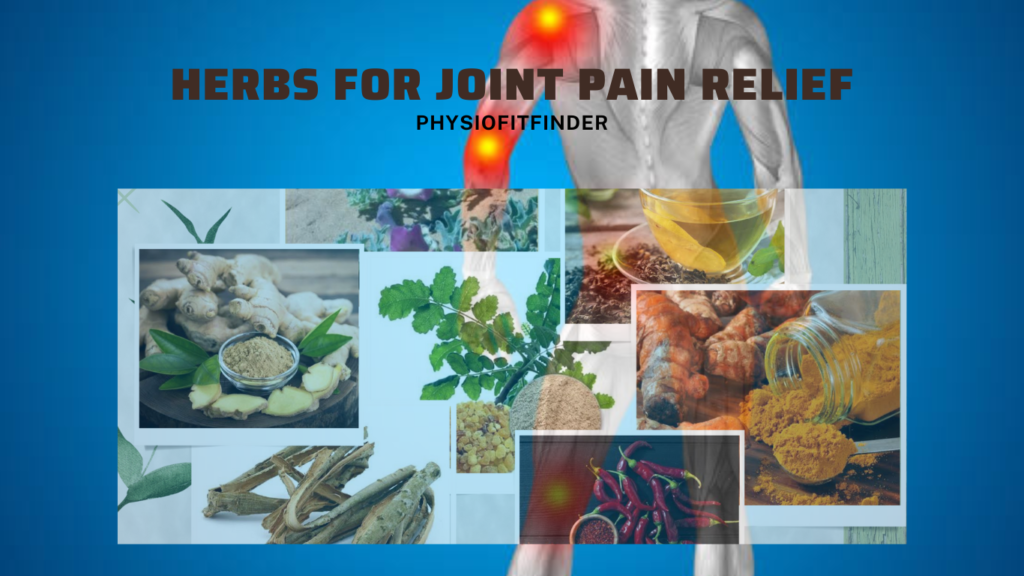 7 herbs to combat joint pain